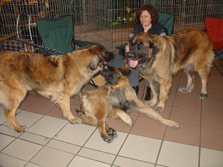 artvivre00046.jpg