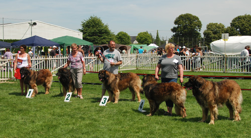 campbon0711-056.jpg