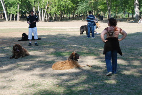 cergy05_1113.jpg