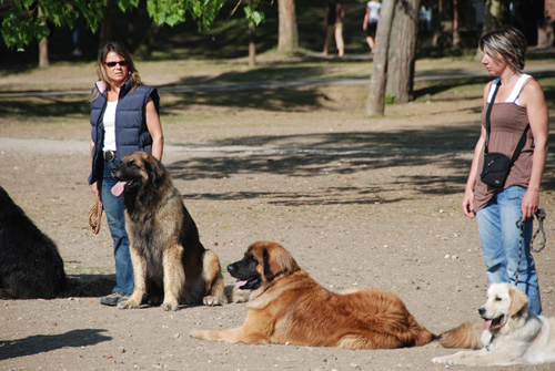 cergy05_1115.jpg