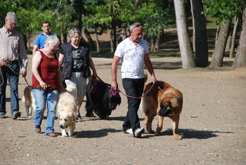 cergy05_1124.jpg