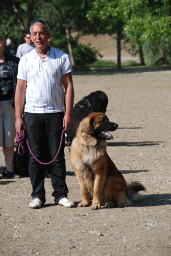 cergy05_1126.jpg
