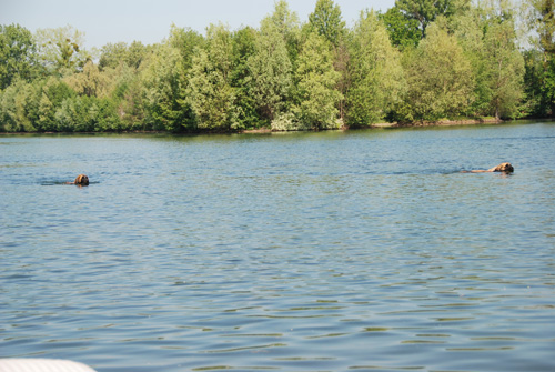cergy05_1234.jpg
