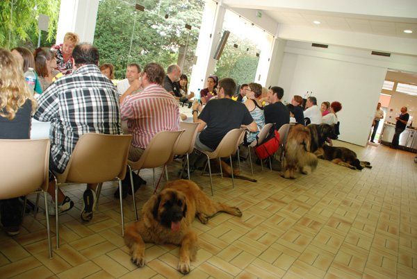 repas0911-048.jpg