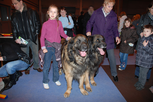 salon11-021.jpg