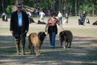 cergy05_1110.jpg