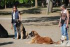 cergy05_1115.jpg