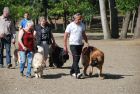 cergy05_1124.jpg