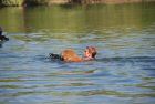 cergy05_1151.jpg