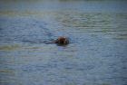 cergy05_1173.jpg