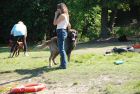 cergy05_1177.jpg