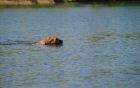 cergy05_1206.jpg