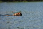 cergy05_1207.jpg
