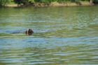 cergy05_1218.jpg