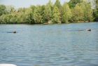 cergy05_1234.jpg