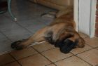 cergy05_1243.jpg