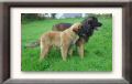 ulnabb5s-DSC06805w.jpg